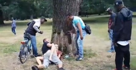 Imali su 'akciju' ispod drveta u parku, a prolaznici su ih sve vrijeme snimali i pričali sa njima (VIDEO)