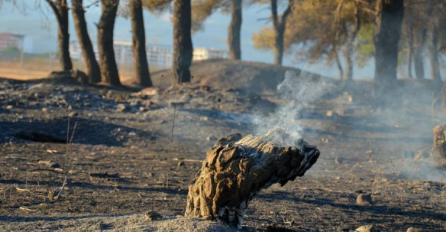 Na tromeđi općina Čapljina, Neum i Stolac izgorjelo više hektara šume