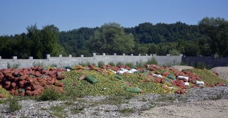 400 000 kg krastavaca završilo na deponiji smeća