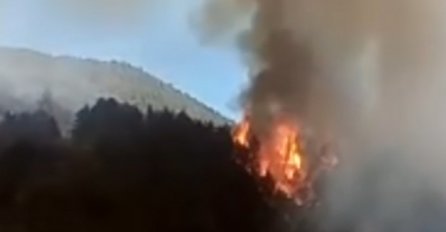 Španija: Požar na ostrvu La Palma, 700 evakuisanih