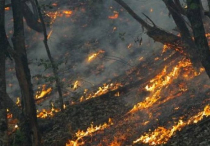 Požar kod Trebinja: Vatrogasci zatražili pomoć Oružanih snaga BiH