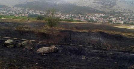 Lokalizovan požar koji je prijetio vinogradima kod Trebinja