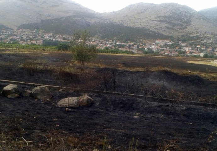 Lokalizovan požar koji je prijetio vinogradima kod Trebinja