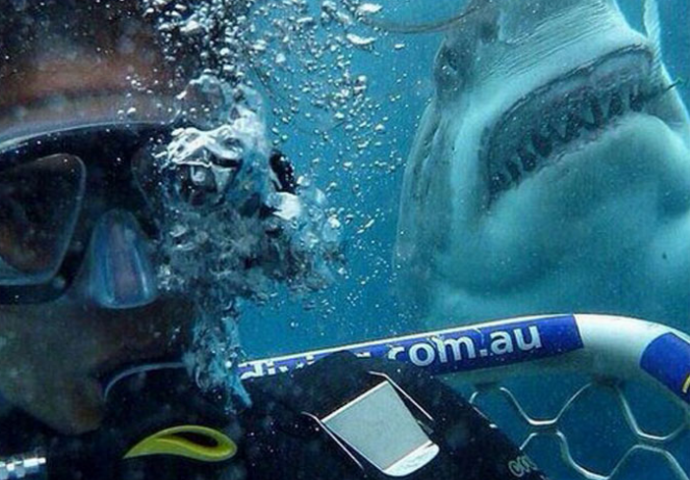 Luđački selfiji koji su ih mogli koštati života (FOTO)