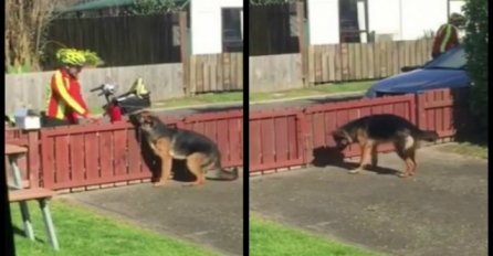 Vlasnik krišom snimao poštara: Evo šta nepoznati čovjek radi mom psu! (VIDEO)