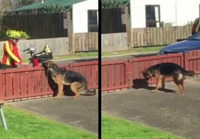 Vlasnik krišom snimao poštara: Evo šta nepoznati čovjek radi mom psu! (VIDEO)