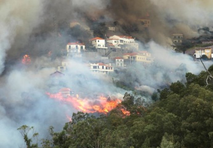 Četiri osobe poginule u šumskim požarima u Portugalu