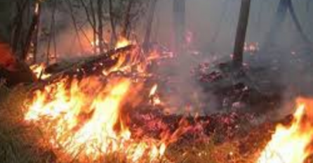 Trebinje: Vatrogasci odbranili kuće u Aljetićima