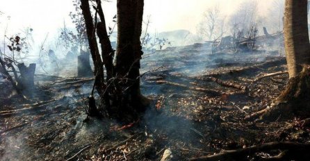 Udar groma izazvao požar u okolini Bileće