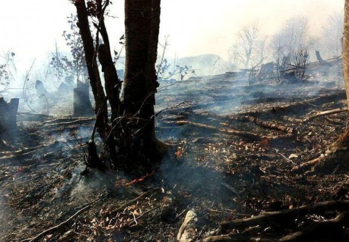 Udar groma izazvao požar u okolini Bileće