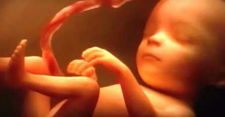 Pravo je čudo kako se beba hrani u majčinoj utrobi, nešto što rijetko ko zna (VIDEO)