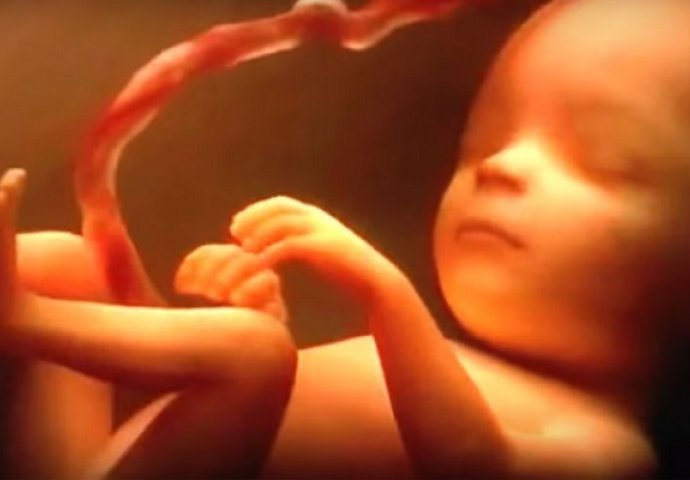 Pravo je čudo kako se beba hrani u majčinoj utrobi, nešto što rijetko ko zna (VIDEO)