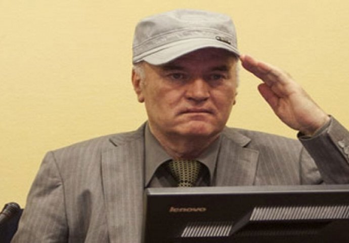 Završen dokazni postupak odbrane Ratka Mladića 