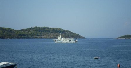 Invazija otrovnih riba na Jadranu u posljednjih desetak godina
