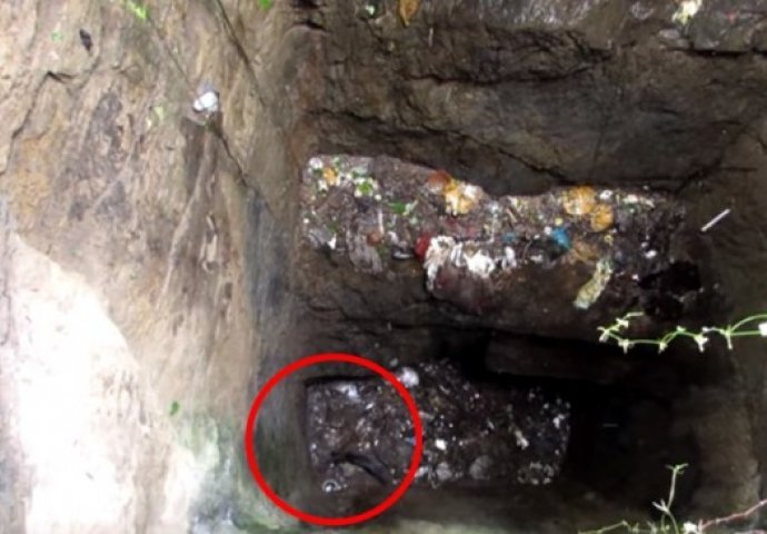 Spasilac izvukao psa iz presušenog bunara: Rastopit ćete se kada vidite njegovu reakciju (VIDEO) 
