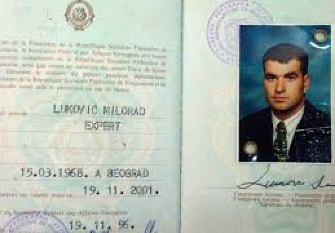 Srbijanski Escobar, Luka Bojović, slobodan čovjek?!