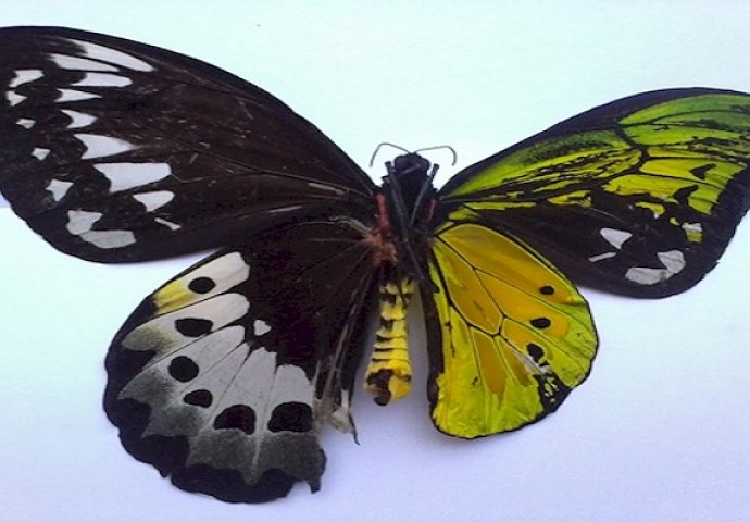 Fascinantne fotografije zbog kojih ćete promijeniti način na koji gledate svijet