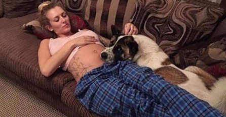 Pas je uporno odbijao da se odvoji od njenog trudničkog stomaka, a onda su ljekari otkrili razlog 