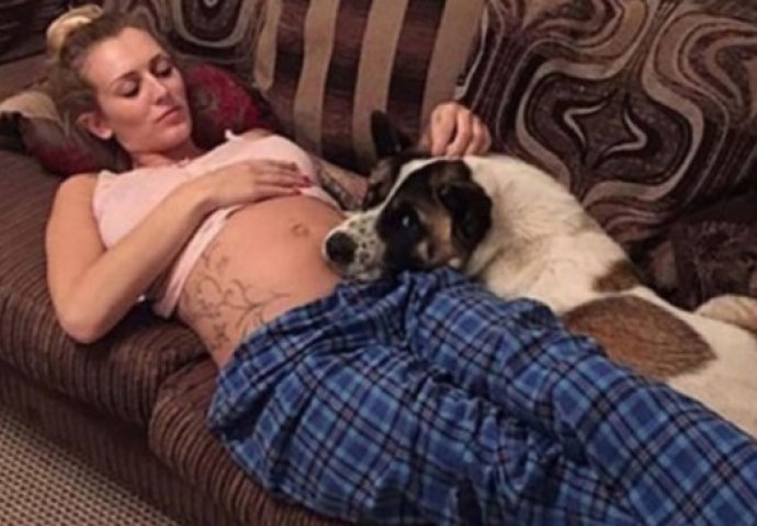 Pas je uporno odbijao da se odvoji od njenog trudničkog stomaka, a onda su ljekari otkrili razlog 