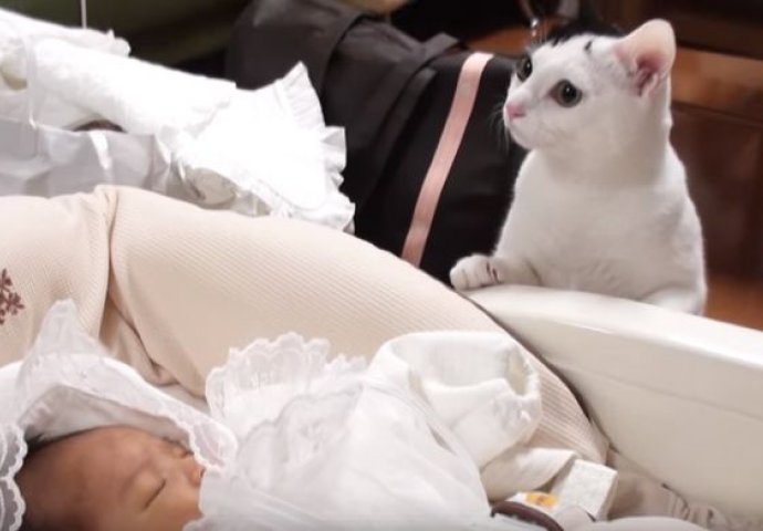 NEPROCJENJIVO: Pogledajte ovu reakciju mačke kada je u kuću stigla beba (VIDEO) 