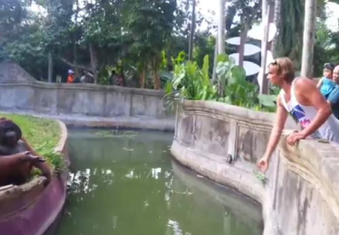 Bacio je voćku majmunu u zoološkom vrtu, ono što će uslijediti pamtit će dugo vremena (VIDEO)