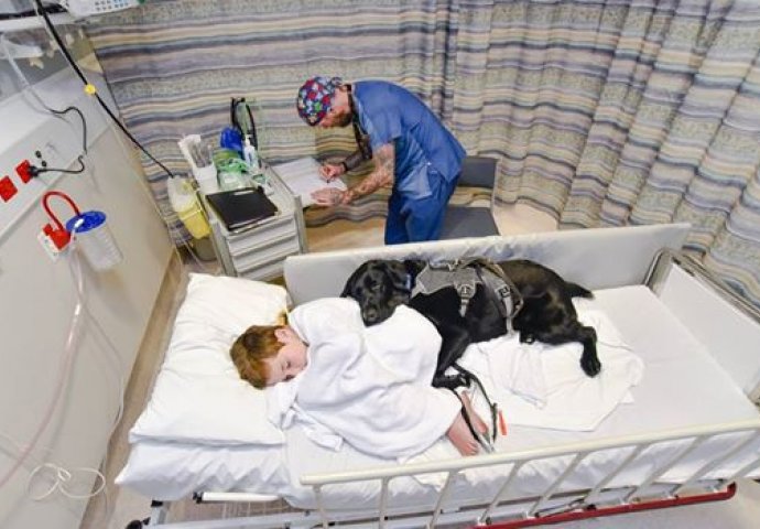 Sinonim bezuslovne ljubavi: Pas odbio da ostavi autističnog dječaka samog u bolnici