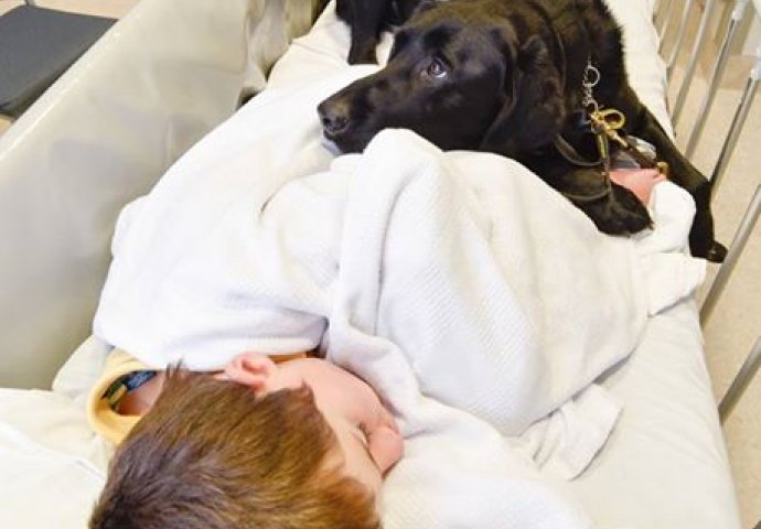 Sinonim bezuslovne ljubavi: Pas odbio da ostavi autističnog dječaka samog u bolnici
