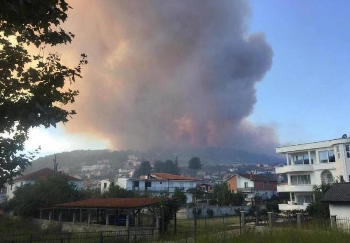 Ulcinj: Dvije osobe uhapšene zbog podmetanja požara