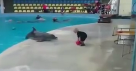 Njegov najbolji prijatelj je delfin i preslatko je gledati kako se igraju (VIDEO)