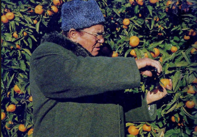 Nepoznati detalji iz Titovog života: Kako je moguće da mrtav političar izaziva toliko kontroverzi?
