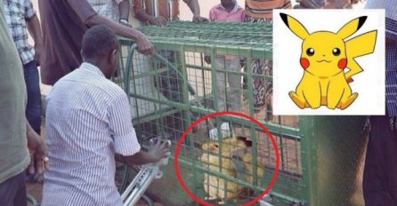 Seljani tvrde kako su uhvatili Pikachua u stvarnom životu!