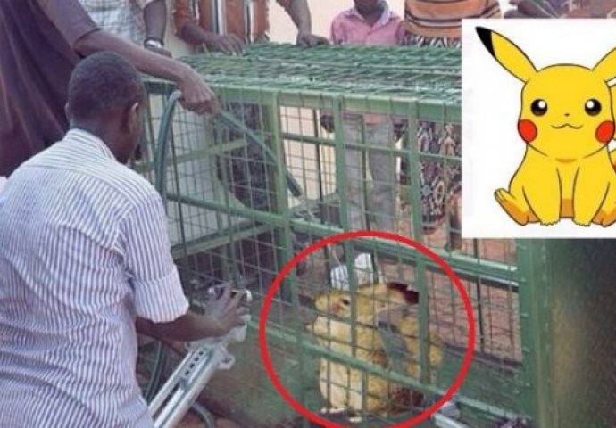 Seljani tvrde kako su uhvatili Pikachua u stvarnom životu!