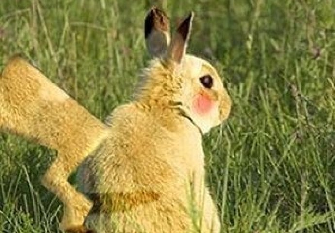 Seljani tvrde kako su uhvatili Pikachua u stvarnom životu!