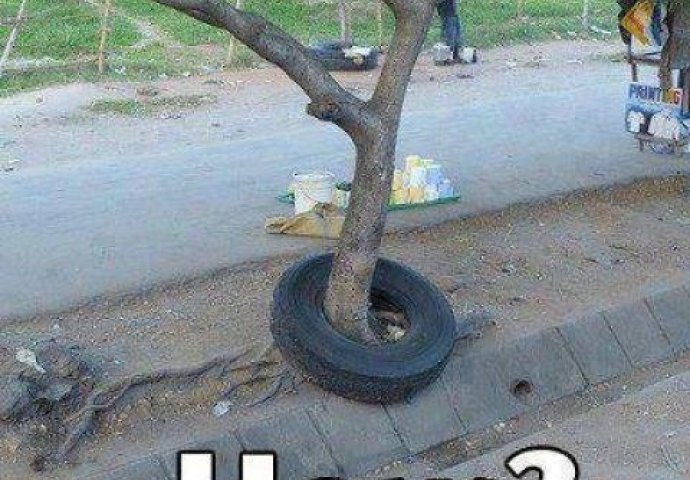 Niko ne može da objasni ove bizarne fotografije: Imate li vi neko logično objašnjenje?