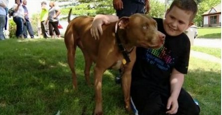 Pas postao heroj nakon što je spasio gluhog dječaka iz zapaljene kuće (VIDEO)