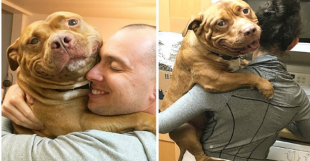 Ovaj nasmijani pas raznježio je cijeli svijet kada je zaprosio gazdaricu umjesto  njenog momka (FOTO)