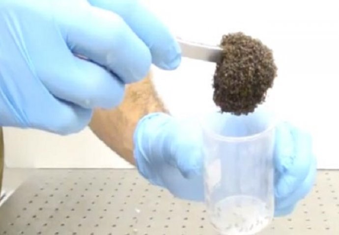 Izgleda kao eksperiment s metalnom kuglom, ali je zapravo potpuna suprotnost (VIDEO)