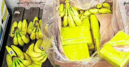 U kontejnerima za banane policija pronašla devet stotina kilograma kokaina