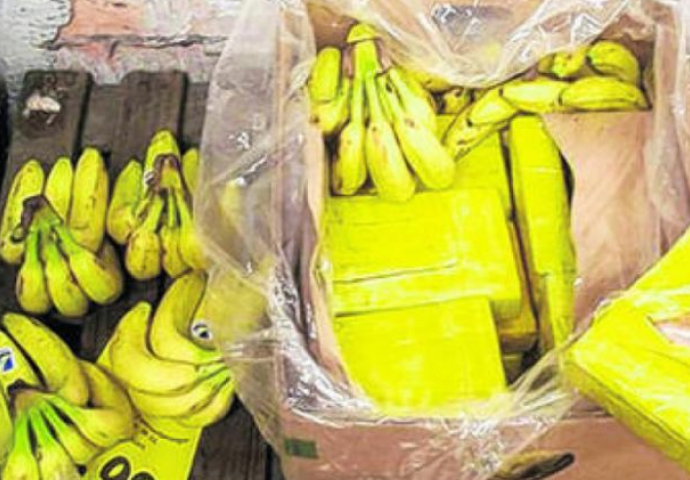 U kontejnerima za banane policija pronašla devet stotina kilograma kokaina