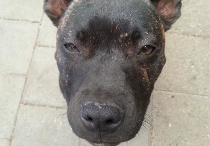 Fotografije koje će prevariti vaš mozak i natjerati vas da ih pogledate opet! 