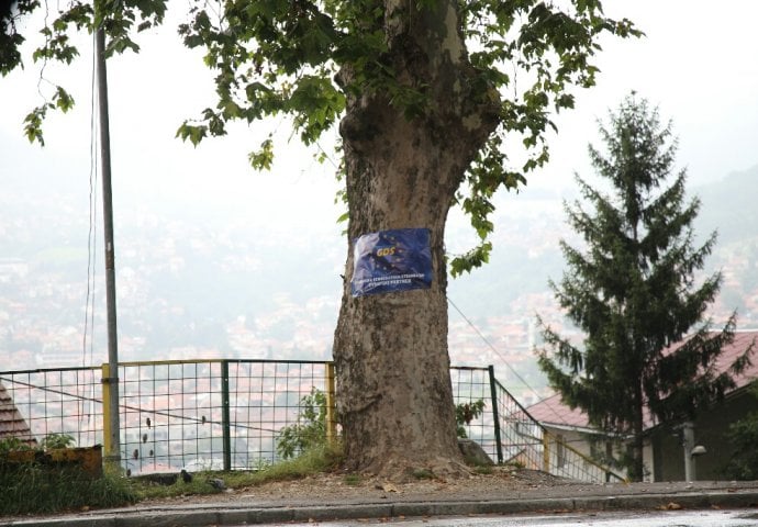 Stidljivo plaketiranje: Stranke čekaju svojih predizbornih pet minuta [FOTO]