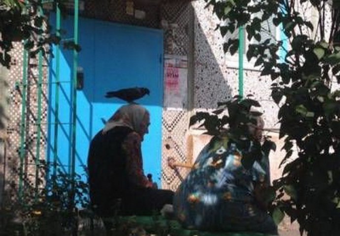 Ustali ste na lijevu nogu? Ove fotografije će vam iz temelja popraviti dan!