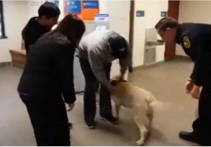 Uragan ih razdvojio: Pogledajte emotivni susret izgubljenog psa i njegovog vlasnika (VIDEO)