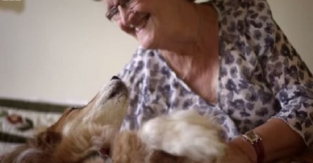 Najbolji prijatelj spasio vlasnicu: Pas nanjušio karcinom i otkrio ga prije liječnika (VIDEO)