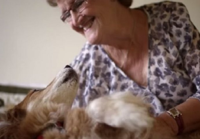 Najbolji prijatelj spasio vlasnicu: Pas nanjušio karcinom i otkrio ga prije liječnika (VIDEO)