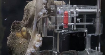 Stavio je kameru u akvarijum, a onda su doživjeli nešto što nije nijedan čovjek na planeti (VIDEO)