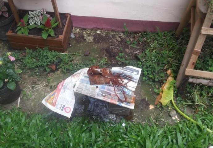 Kopanjem u vrtu pronašli su mračnu tajnu koja, bolje da je ostala zakopana... (FOTO)