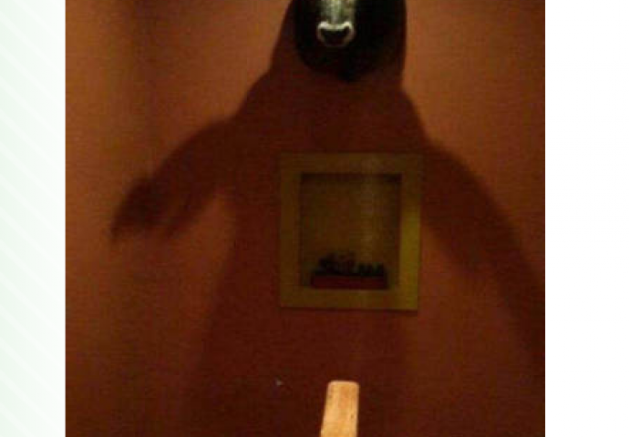 Vjerujete li svojim očima? Možda ipak da se dobro zagledate u ove fotografije kako bi pronašli grešku (FOTO)