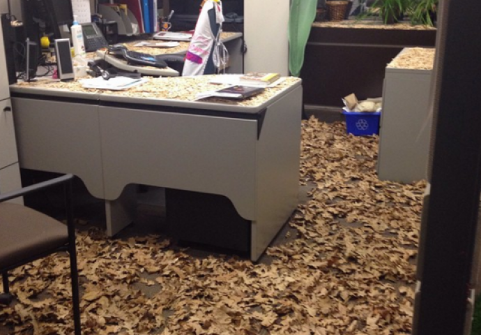 Nećete vjerovati kakve su ludačke smicalice ovi ljudi  priredili svojim kolegama