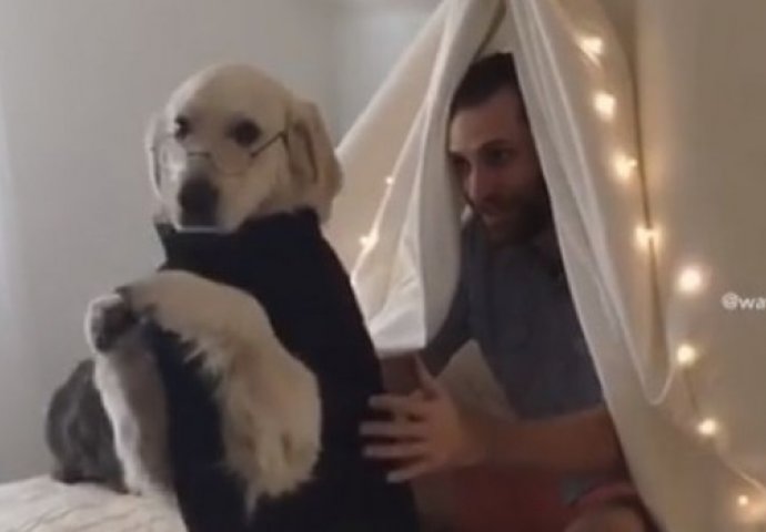 Pas je igrao "igru povjerenja" sa svojim vlasnikom, evo šta se dogodilo dok je padao (VIDEO) 